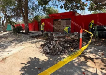 Foto: Adrián Gaytán // Las Rosas vendida luego del despojo a la ciudad en mayo pasado.