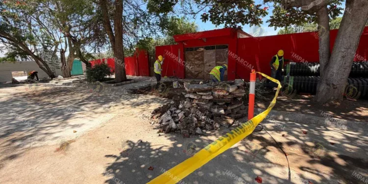 Foto: Adrián Gaytán // Las Rosas vendida luego del despojo a la ciudad en mayo pasado.