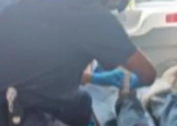 Camión de basura atropella a sexagenario
