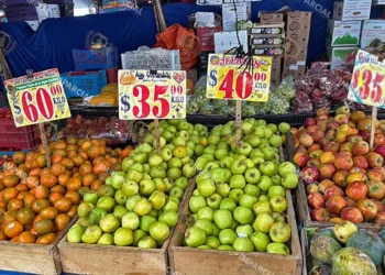 Foto: Adrián Gaytán // Persistente aumento de precios entre frutas y verduras.