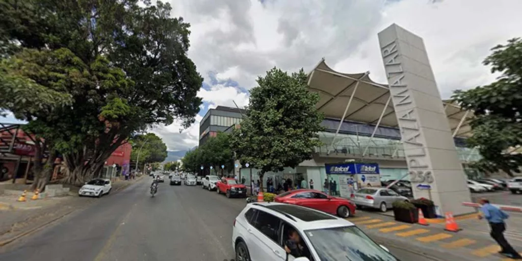 Advierte SSPC cierre de la calzada Porfirio Díaz por poda de árboles