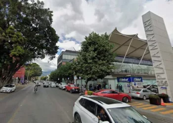 Advierte SSPC cierre de la calzada Porfirio Díaz por poda de árboles