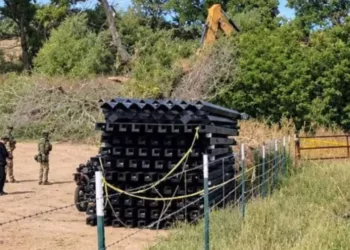Talan ‘La Abuela’, álamo centenario en Arizona, para construir el muro
