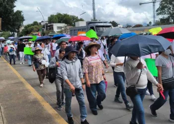 Foto: redes sociales // Trabajadores del IMSS salen hoy de nuevo a las calles en protesta por la crisis en que se tiene sumida a la institución.