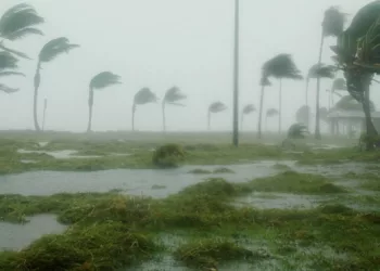 Doble amenaza en México: Vigilan formación de la tormenta Trudy y el huracán Simon ya es categoría 4