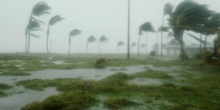 Doble amenaza en México: Vigilan formación de la tormenta Trudy y el huracán Simon ya es categoría 4