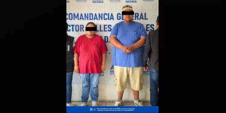 Niño fue atacado por tres perros en Atzompa; detienen a dos personas por presuntas lesiones