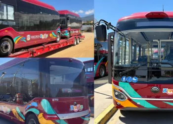 VIDEO | ¡Llegan autobuses eléctricos a Oaxaca! BinniBus presume nuevas unidades