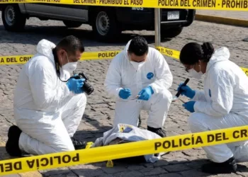 ¡Hallazgo macabro frente al Ayuntamiento de Mazatlán! Dejan cabeza humana