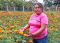 Fotos: Adrián Gaytán // La floricultora explicó que estos días nublados les han afectado dado que la planta necesita un poco de luz para florecer.