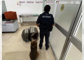 Nuevo golpe federal; Marina, ANAM y GN