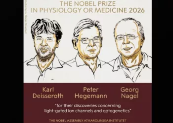 Iluminar el cerebro: tres científicos reciben el nobel de medicina
