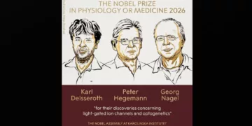Iluminar el cerebro: tres científicos reciben el nobel de medicina