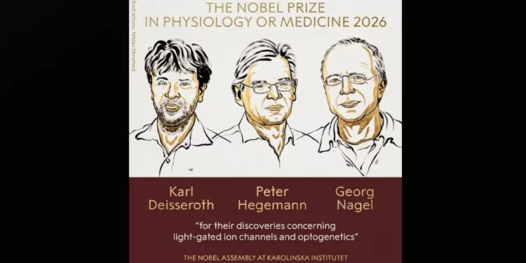 Iluminar el cerebro: tres científicos reciben el nobel de medicina