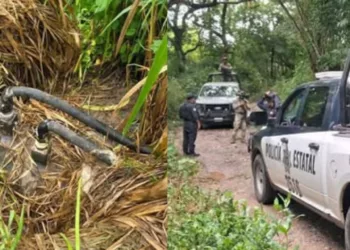 Hallan toma clandestina de combustible dentro de un rancho en el Istmo de Oaxaca